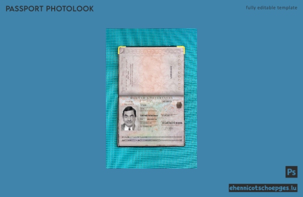 Beispielansicht eines ungarischen Passfotos